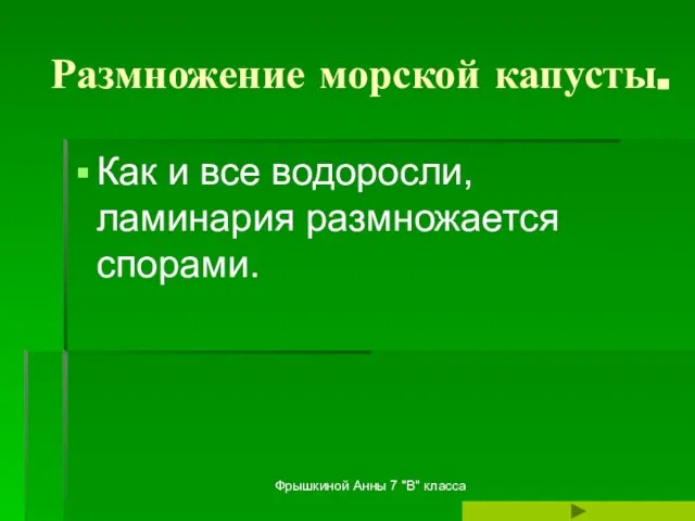 Фрышкиной Анны 7 "В" класса Размножение морской капусты. Как и все водоросли, ламинария размножается спорами.