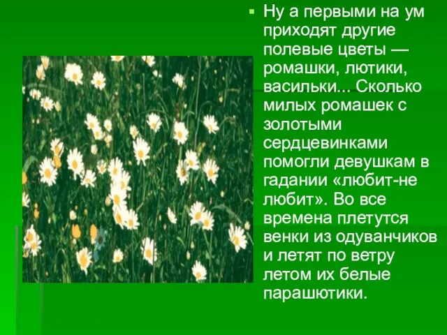 Ну а первыми на ум приходят другие полевые цветы — ромашки, лютики,