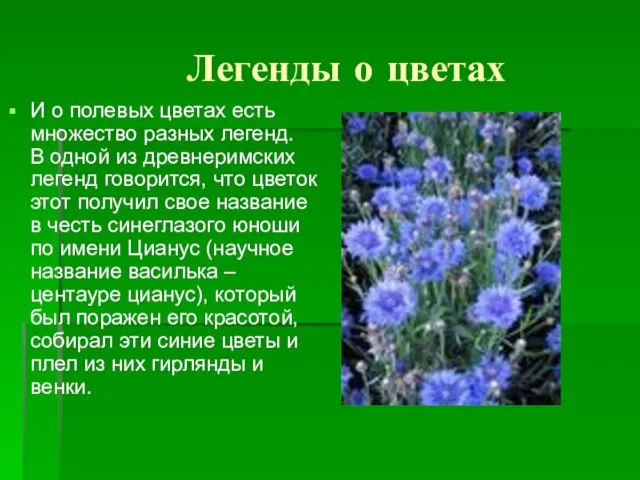 Легенды о цветах И о полевых цветах есть множество разных легенд. В