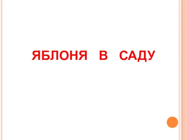 ЯБЛОНЯ В САДУ