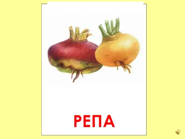 РЕПА