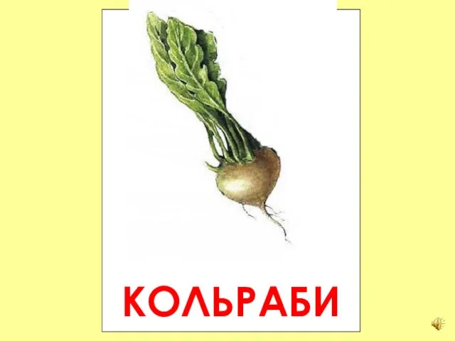 КОЛЬРАБИ