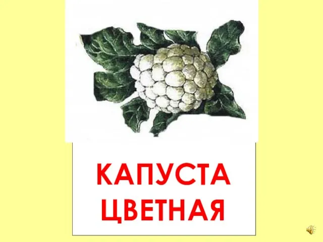 КАПУСТА ЦВЕТНАЯ