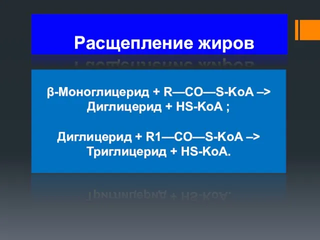 Расщепление жиров β-Моноглицерид + R—СО—S-KoA –> Диглицерид + HS-KoA ; Диглицерид +