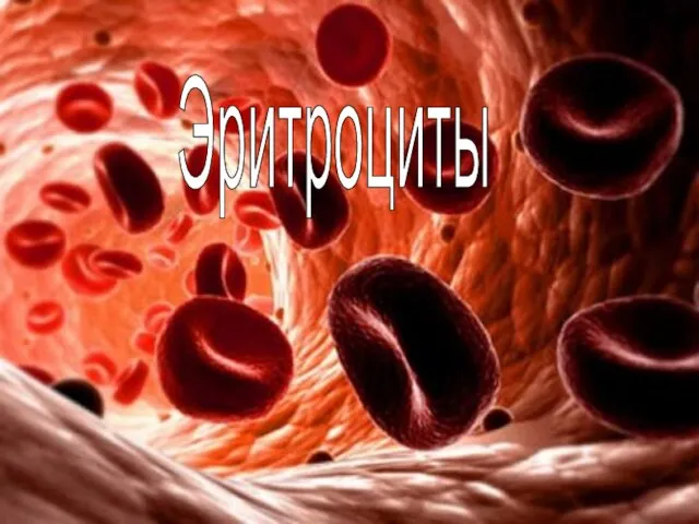 Эритроциты