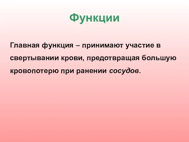 Функции Главная функция – принимают участие в свертывании крови, предотвращая большую кровопотерю при ранении сосудов.