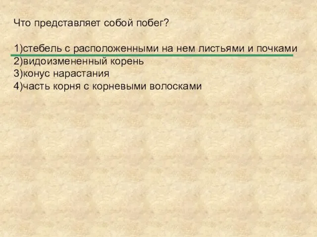 Что представляет собой побег? 1)стебель с расположенными на нем листьями и почками