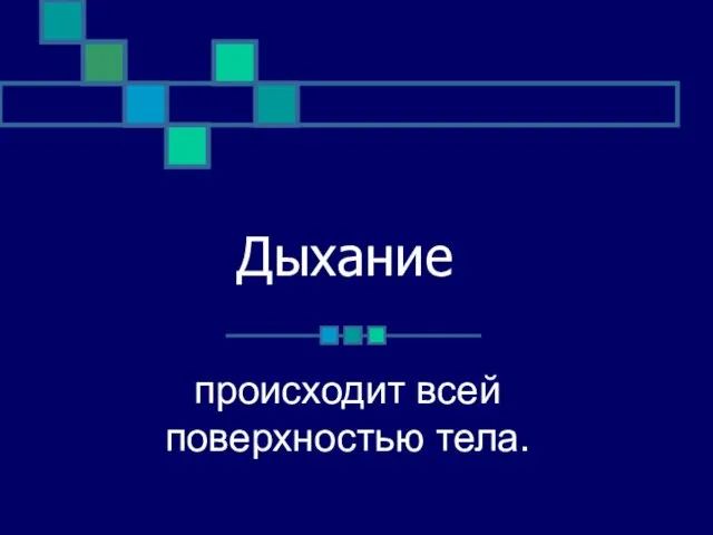 Дыхание происходит всей поверхностью тела.