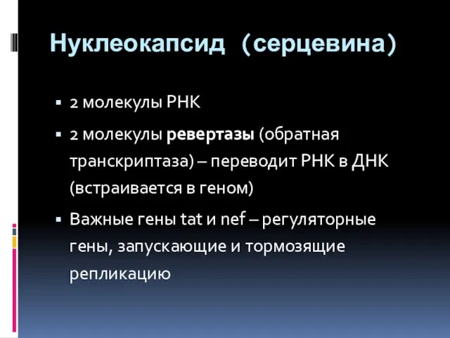 Нуклеокапсид (серцевина) 2 молекулы РНК 2 молекулы ревертазы (обратная транскриптаза) – переводит