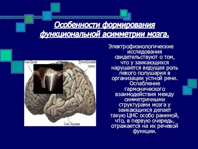 Особенности формирования функциональной асимметрии мозга. Электрофизиологические исследования свидетельствуют о том, что у