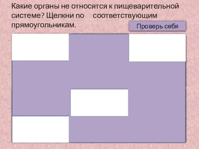 Какие органы не относятся к пищеварительной системе? Щелкни по соответствующим прямоугольникам. Гортань