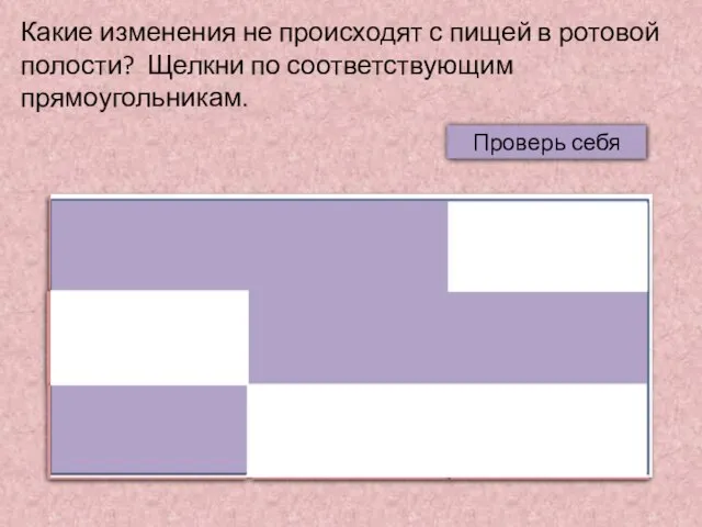 Какие изменения не происходят с пищей в ротовой полости? Щелкни по соответствующим