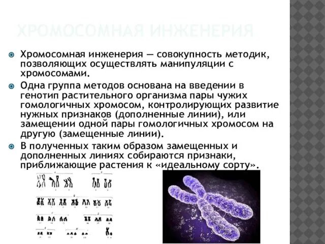 Хромосомная инженерия Хромосомная инженерия — совокупность методик, позволяющих осуществлять манипуляции с хромосомами.