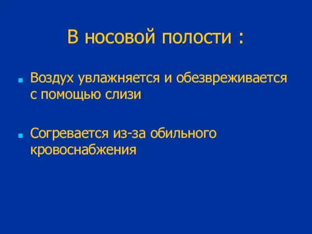 В носовой полости : Воздух увлажняется и обезвреживается с помощью слизи Согревается из-за обильного кровоснабжения