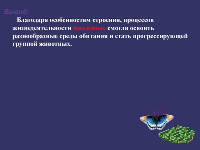 Благодаря особенностям строения, процессов жизнедеятельности насекомые смогли освоить разнообразные среды обитания и