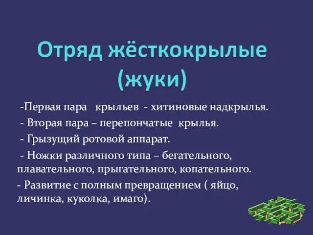 -Первая пара крыльев - хитиновые надкрылья. - Вторая пара – перепончатые крылья.