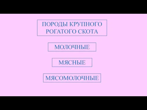 ПОРОДЫ КРУПНОГО РОГАТОГО СКОТА МОЛОЧНЫЕ МЯСНЫЕ МЯСОМОЛОЧНЫЕ