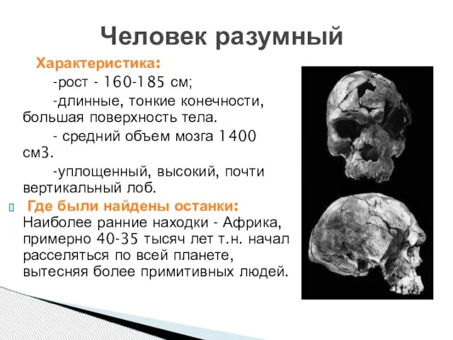 Человек разумный Характеристика: -рост - 160-185 см; -длинные, тонкие конечности, большая поверхность