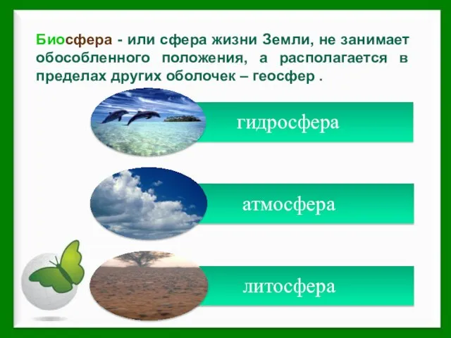 Биосфера - или сфера жизни Земли, не занимает обособленного положения, а располагается