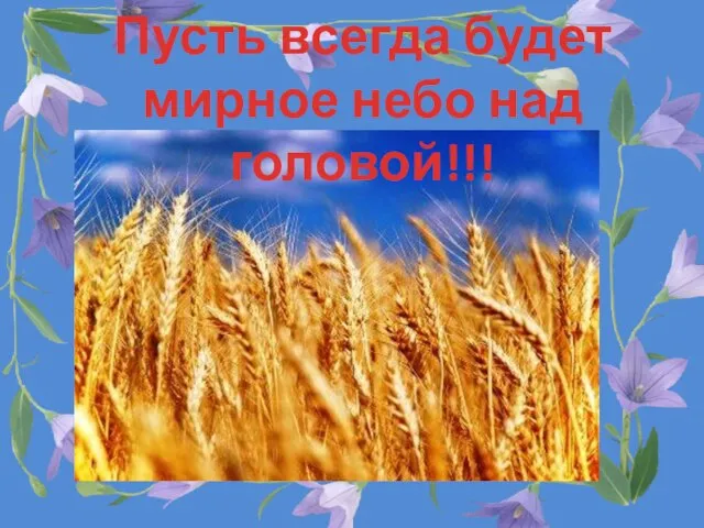 Пусть всегда будет мирное небо над головой!!!