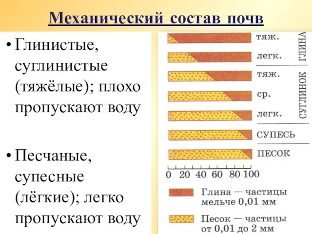 Механический состав почв Глинистые, суглинистые (тяжёлые); плохо пропускают воду Песчаные, супесные (лёгкие); легко пропускают воду