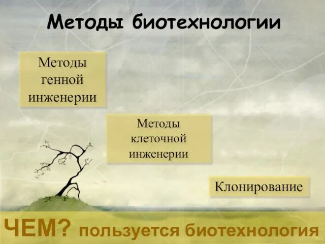 Методы биотехнологии Методы клеточной инженерии Методы генной инженерии Клонирование ЧЕМ? пользуется биотехнология