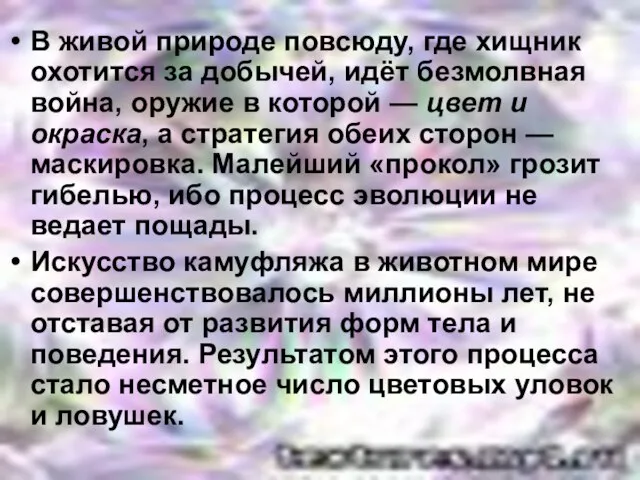 В живой природе повсюду, где хищник охотится за добычей, идёт безмолвная война,