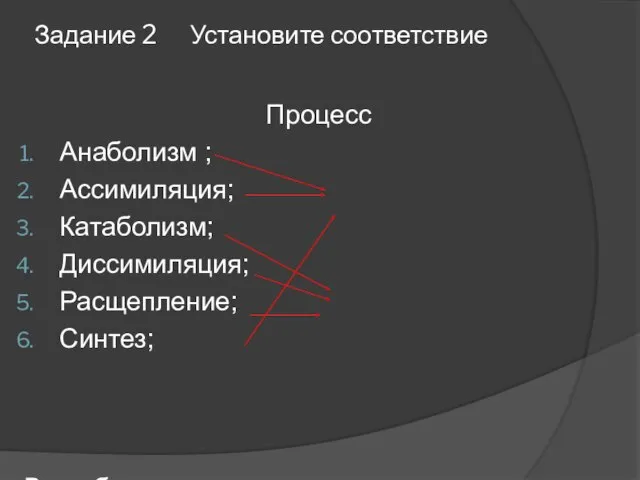 Задание 2 Установите соответствие Процесс Анаболизм ; Ассимиляция; Катаболизм; Диссимиляция; Расщепление; Синтез;