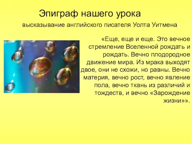 «Еще, еще и еще. Это вечное стремление Вселенной рождать и рождать. Вечно