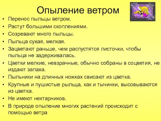 Опыление ветром Перенос пыльцы ветром. Растут большими скоплениями. Созревают много пыльцы. Пыльца