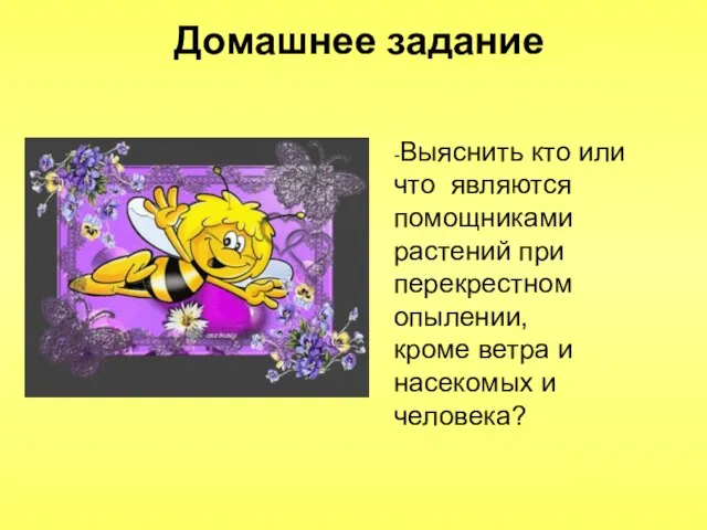 Домашнее задание -Выяснить кто или что являются помощниками растений при перекрестном опылении,