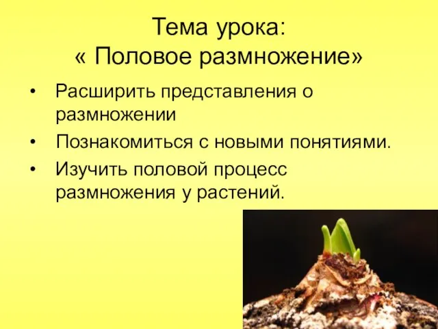 Тема урока: « Половое размножение» Расширить представления о размножении Познакомиться с новыми