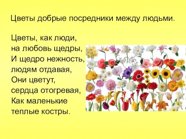 Цветы добрые посредники между людьми. Цветы, как люди, на любовь щедры, И