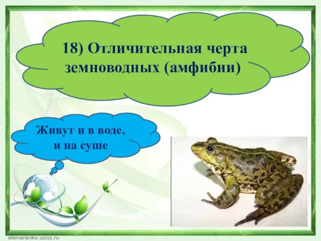 18) Отличительная черта земноводных (амфибии) Живут и в воде, и на суше