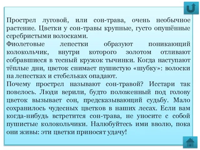 Узнать больше Прострел луговой, или сон-трава, очень необычное растение. Цветки у сон-травы