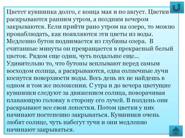 Узнать больше Цветет кувшинка долго, с конца мая и по август. Цветки