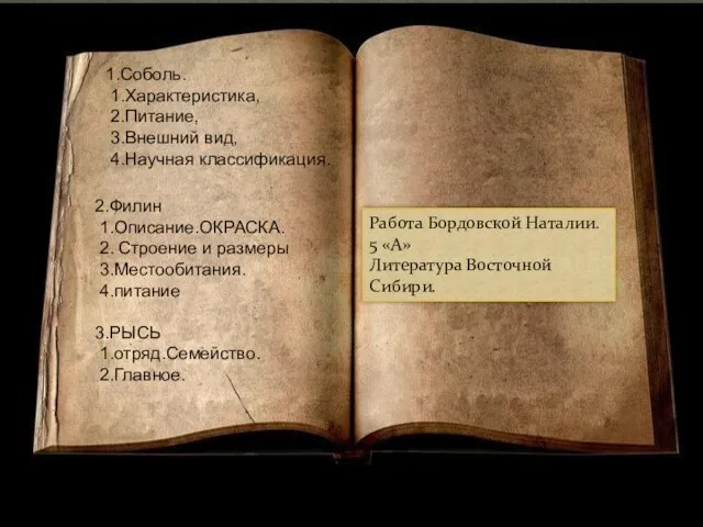 СОБОЛЬ 1.Соболь. 1.Характеристика, 2.Питание, 3.Внешний вид, 4.Научная классификация. 2.Филин 1.Описание.ОКРАСКА. 2. Строение