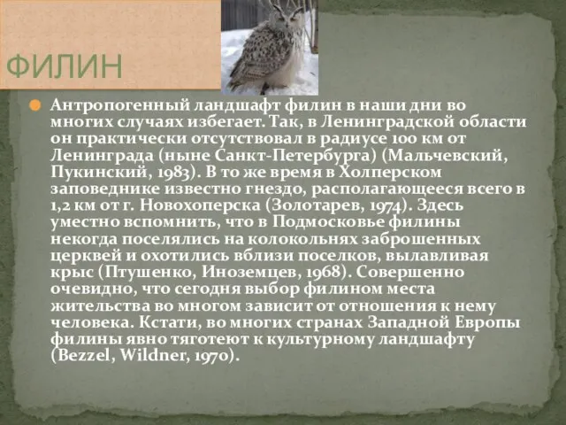 Антропогенный ландшафт филин в наши дни во многих случаях избегает. Так, в