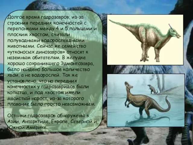 Долгое время гадрозавров, из-за строения передних конечностей с перепонками между 4 и