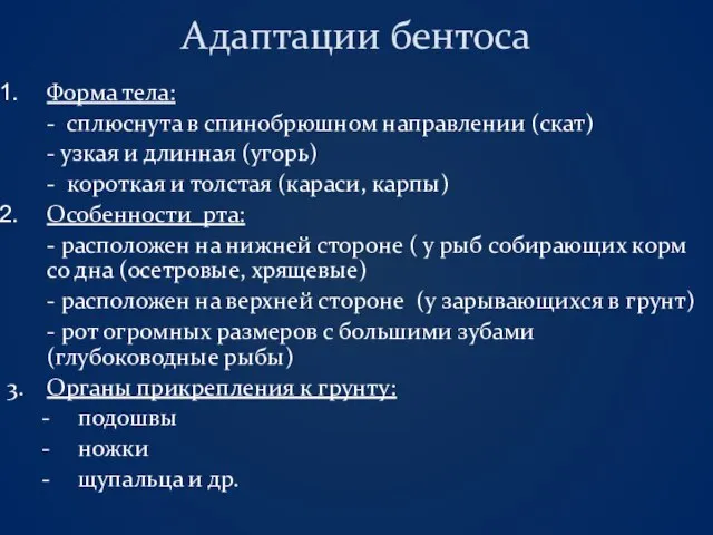 Адаптации бентоса Форма тела: - сплюснута в спинобрюшном направлении (скат) - узкая