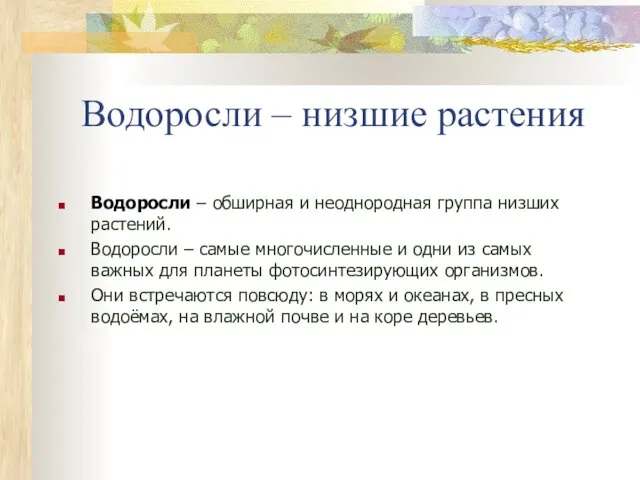 Водоросли – низшие растения Водоросли – обширная и неоднородная группа низших растений.