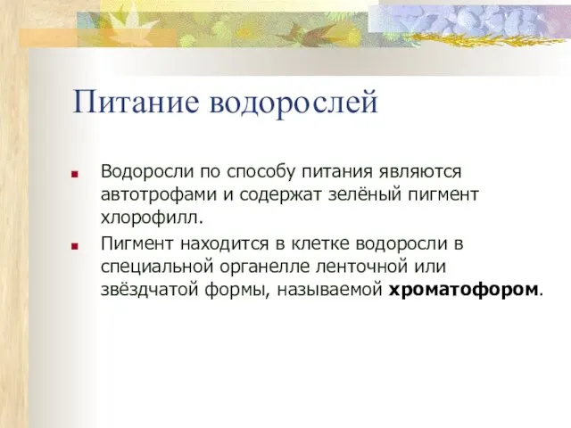 Питание водорослей Водоросли по способу питания являются автотрофами и содержат зелёный пигмент