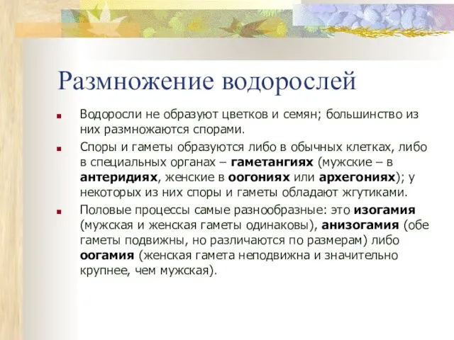 Размножение водорослей Водоросли не образуют цветков и семян; большинство из них размножаются