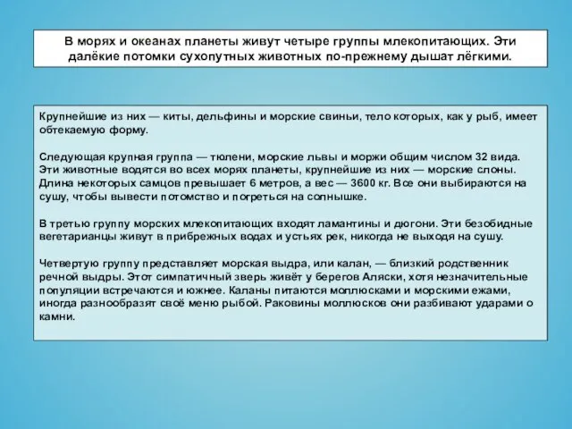 В морях и океанах планеты живут четыре группы млекопитающих. Эти далёкие потомки