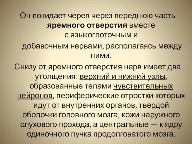 Он покидает череп через переднюю часть яремного отверстия вместе с языкоглоточным и