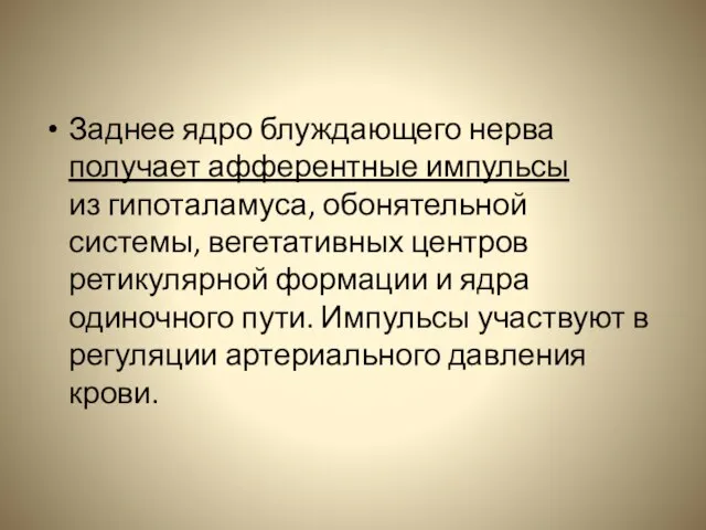 Заднее ядро блуждающего нерва получает афферентные импульсы из гипоталамуса, обонятельной системы, вегетативных