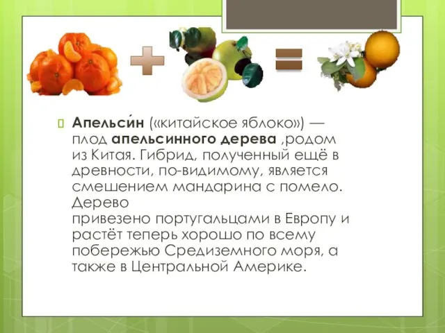 Апельси́н («китайское яблоко») — плод апельсинного дерева ,родом из Китая. Гибрид, полученный