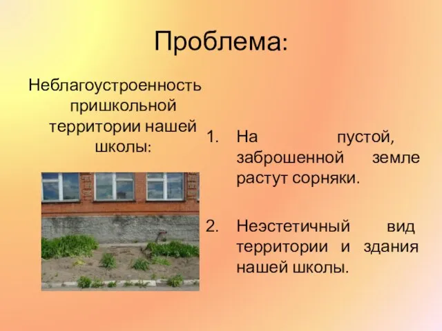 Проблема: Неблагоустроенность пришкольной территории нашей школы: На пустой, заброшенной земле растут сорняки.