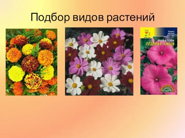 Подбор видов растений