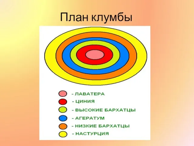 План клумбы